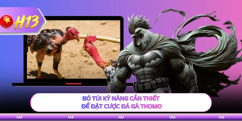 Bỏ túi kỹ năng cần thiết để đặt cược đá gà Thomo H13