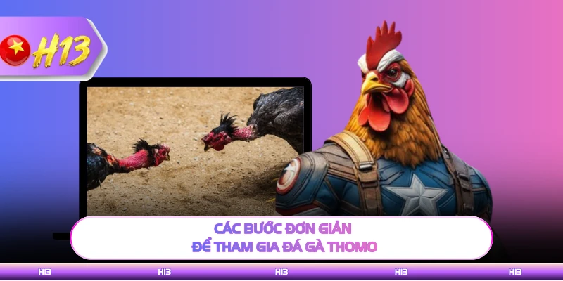 Các bước đơn giản để tham gia đá gà Thomo H13