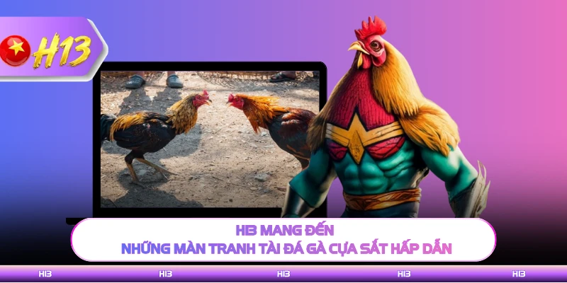 H13 mang đến những màn tranh tài đá gà cựa sắt hấp dẫn 
